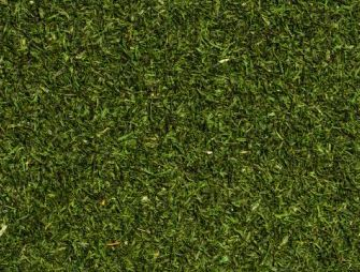 תמונה של שמיר יבש - 100 גרם