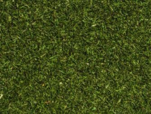 תמונה של שמיר יבש - 100 גרם