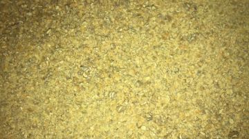 תמונה של חילבה גרוס - 100 גרם