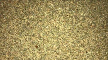 תמונה של סלרי זרעים - 100 גרם