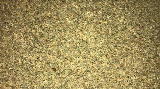 תמונה של סלרי זרעים - 100 גרם