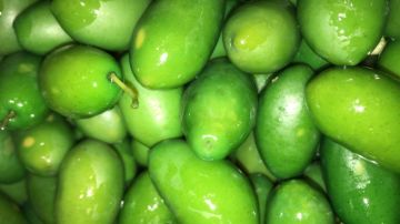 תמונה של זית איטלקי יווני - 100 גרם