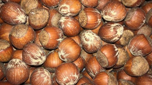 תמונה של אגוז לוז שלם - 100 גרם