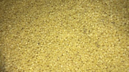 תמונה של דוחן שלם - 100 גרם