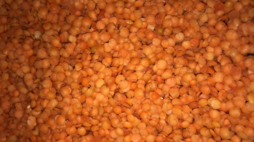 תמונה של עדש אדום חצאים - 100 גרם