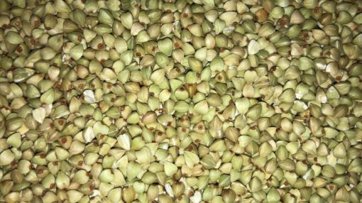 תמונה של כוסמת ירוקה - 100 גרם