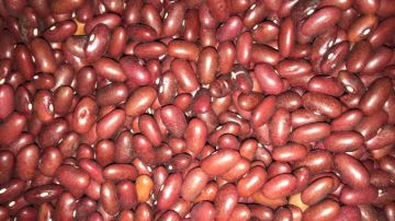 תמונה של שעועית אדומה - 100 גרם