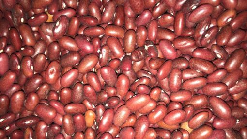 תמונה של שעועית אדומה - 100 גרם