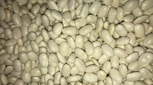 תמונה של שעועית אמריקאית - 100 גרם