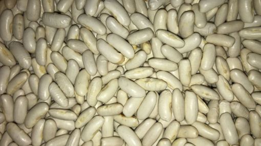 תמונה של שעועית ארגנטינה - 100 גרם