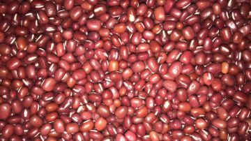 תמונה של שעועית אזוקי - 100 גרם