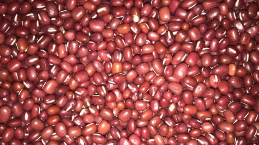 תמונה של שעועית אזוקי - 100 גרם