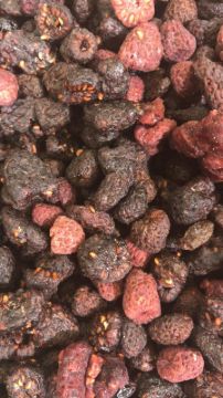 תמונה של פטל - 100 גרם