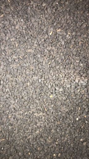 תמונה של קצח - 100 גרם