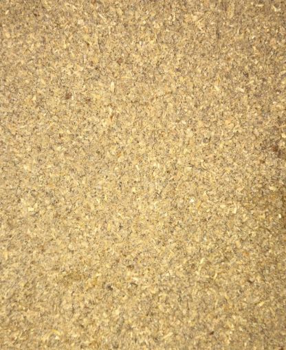 תמונה של כוסברה טחון - 100 גרם